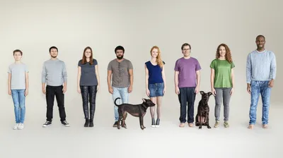 Illustration stature