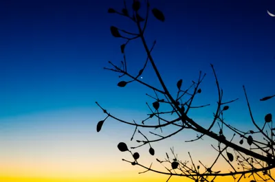 Illustration tonight - Image 1