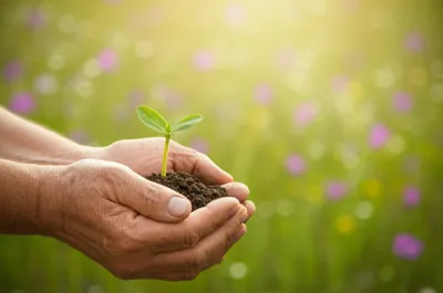 Illustration love - Image 1