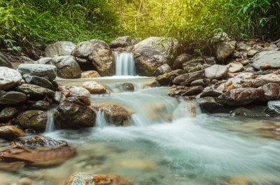 Illustration runs - Image 1