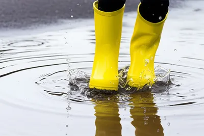 Illustration dabbles - Image 1