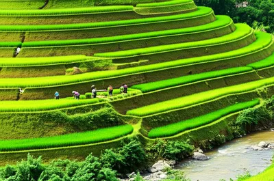 Illustration terrace - Image 1