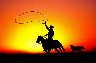 Illustration lasso - Image 1