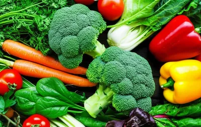 Illustration vegetable - Image 1