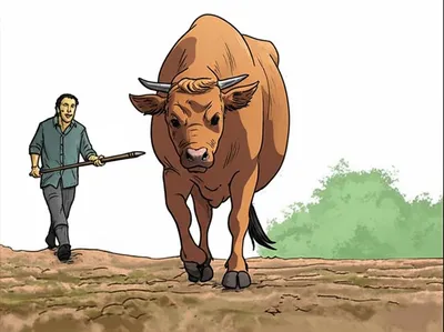 Hình ảnh minh họa prods - Ảnh 1