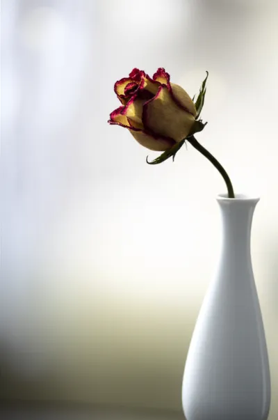 Illustration problematic - Image 1