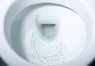 Illustration flushes - Image 1