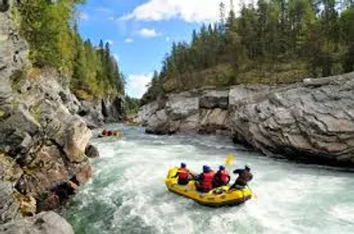 Illustration wash - Image 4