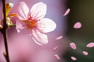 Illustration instant - Image 1