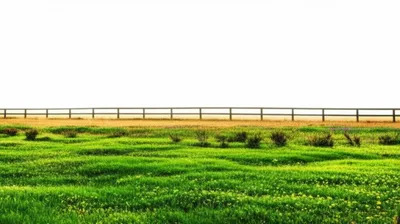 Illustration stints - Image 1