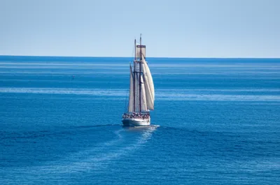 Illustration legs - Image 1