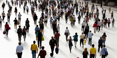 Illustration collected - Image 1