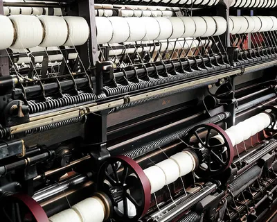 Illustration mule - Image 1