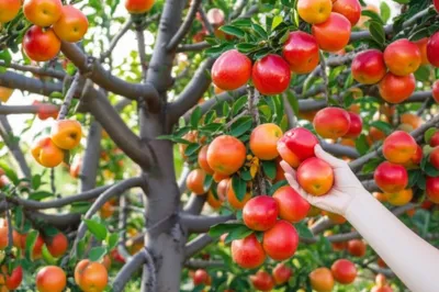 Illustration stock - Image 1