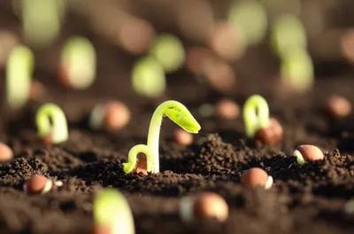 Illustration inceptive - Image 1