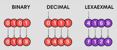 Illustration bases - Image 1