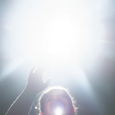 Illustration dazzle - Image 1