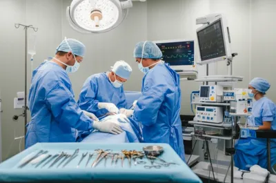 Illustration surgeries - Image 1