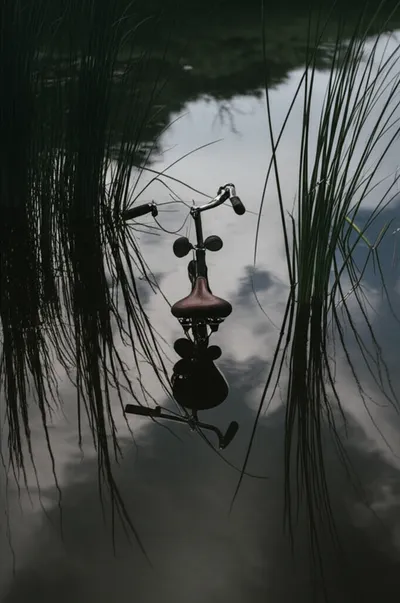 Illustration bog - Image 1