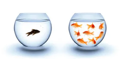 Illustration segregation - Image 2