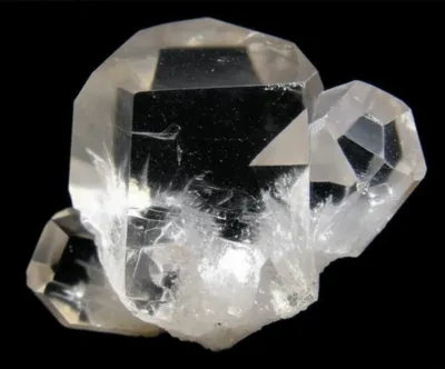 Illustration mimic - Image 1