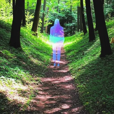 Illustration hypothetical