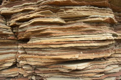 Illustration laminae - Image 1