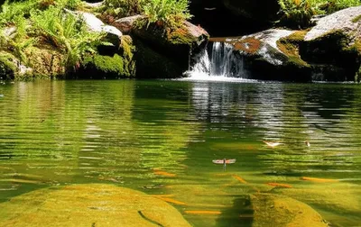 Illustration pools - Image 1