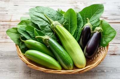 Illustration solanum - Image 1