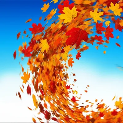 Illustration flurry - Image 1