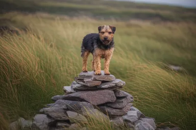 Illustration cairn - Image 1