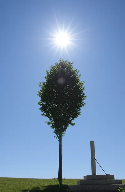 Illustration midday - Image 1