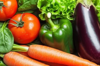 Illustration herbage - Image 1