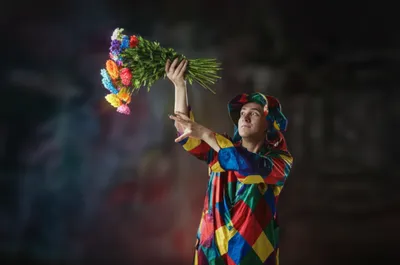 Illustration harlequin - Image 1