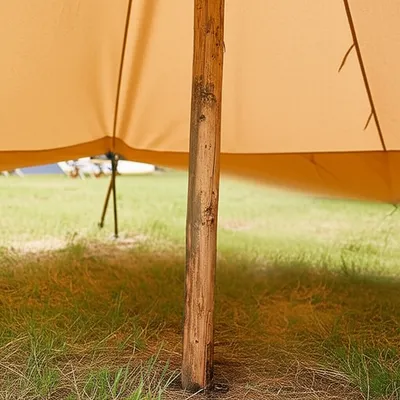 Illustration tentpole - Image 1