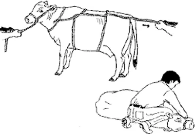 Illustration cast - Image 4