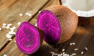 Illustration yam - Image 1