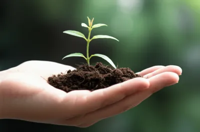 Illustration possess - Image 1