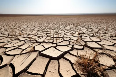 Illustration outfield - Image 1