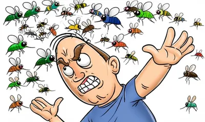 Illustration bugs - Image 1