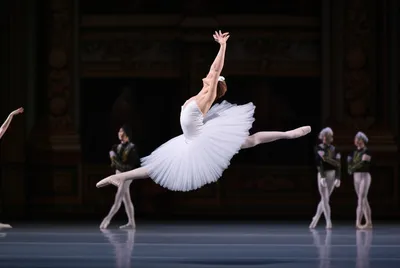 Illustration ballets - Image 1