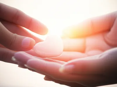 Illustration proffered - Image 1