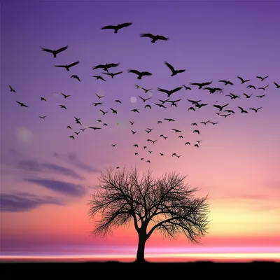 Illustration depart - Image 1