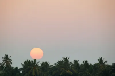 Illustration lowest - Image 1