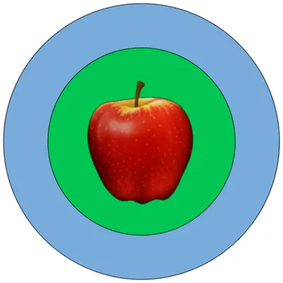 Illustration assumption - Image 1