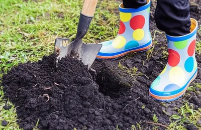 Illustration digs - Image 1