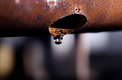 Illustration leak - Image 1