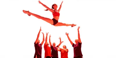 Illustration flyers - Image 1