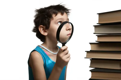 Illustration query - Image 1