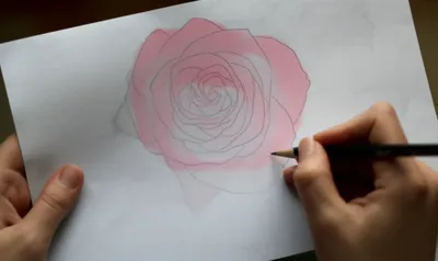 Illustration traced - Image 1